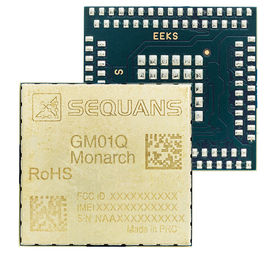 GM01Q