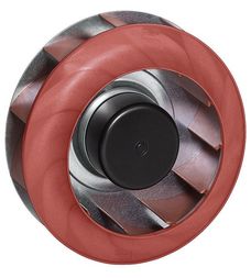 R1G250-AQ37-52