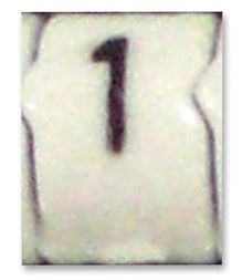 STD09W-1