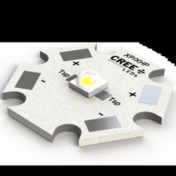 XPGDWT-01-0000-00LE1-SB01