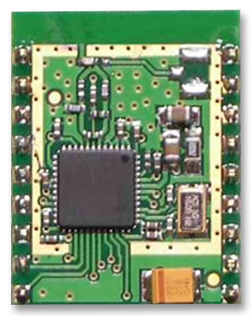 Zigbee & Mesh Modules