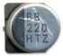 25TZV220M8X10.5