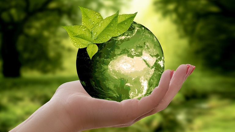 手のひらの上のグリーンな地球