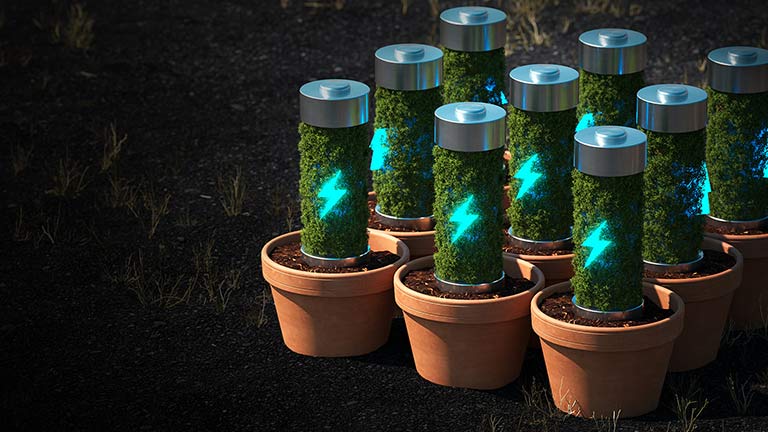 flower pots containing batteries