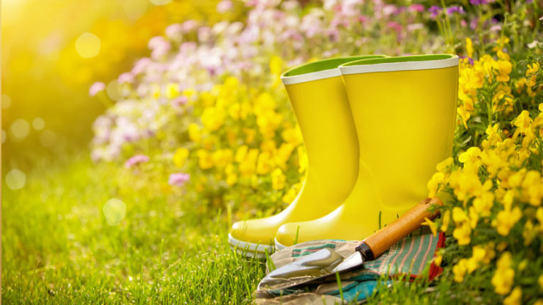 Yellow rainboots and gardening tools on flowerbed