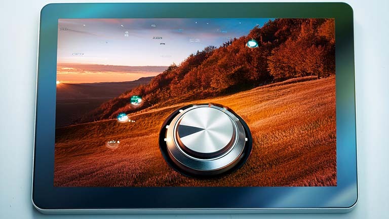 computer monitor with selector switch