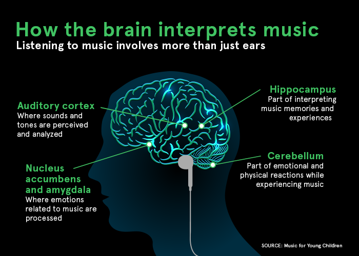 illustration of how brain interprets music
