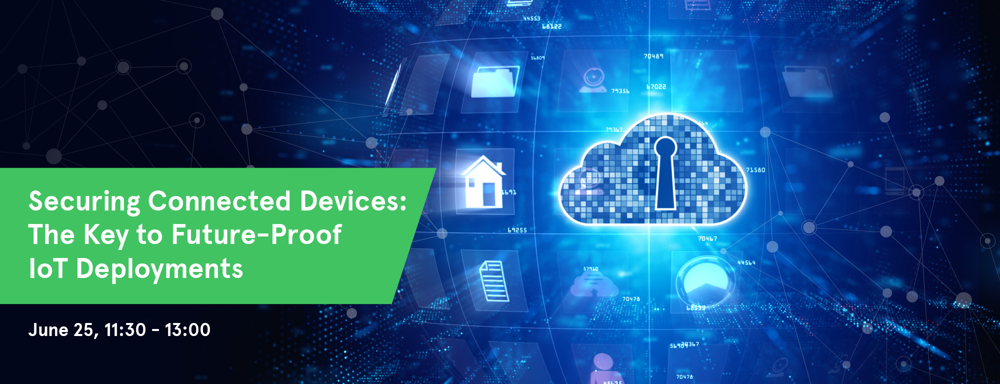 Infineon Securing Connected Devices webinar Infineon Securing Connected Devices webinar