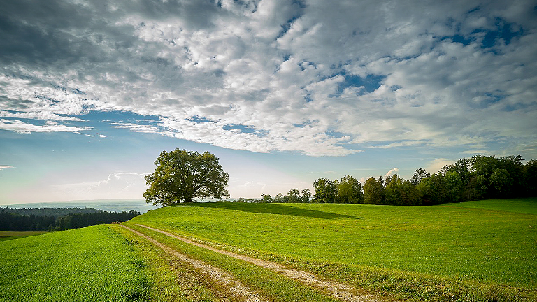 Industrial Energy Storage for a Sustainable Future